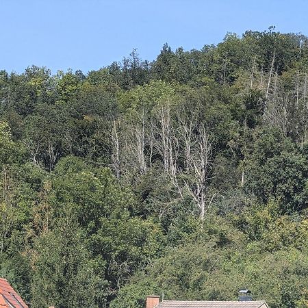 Ferienwohnung Mit Ausblick In Wimmelburg エクステリア 写真